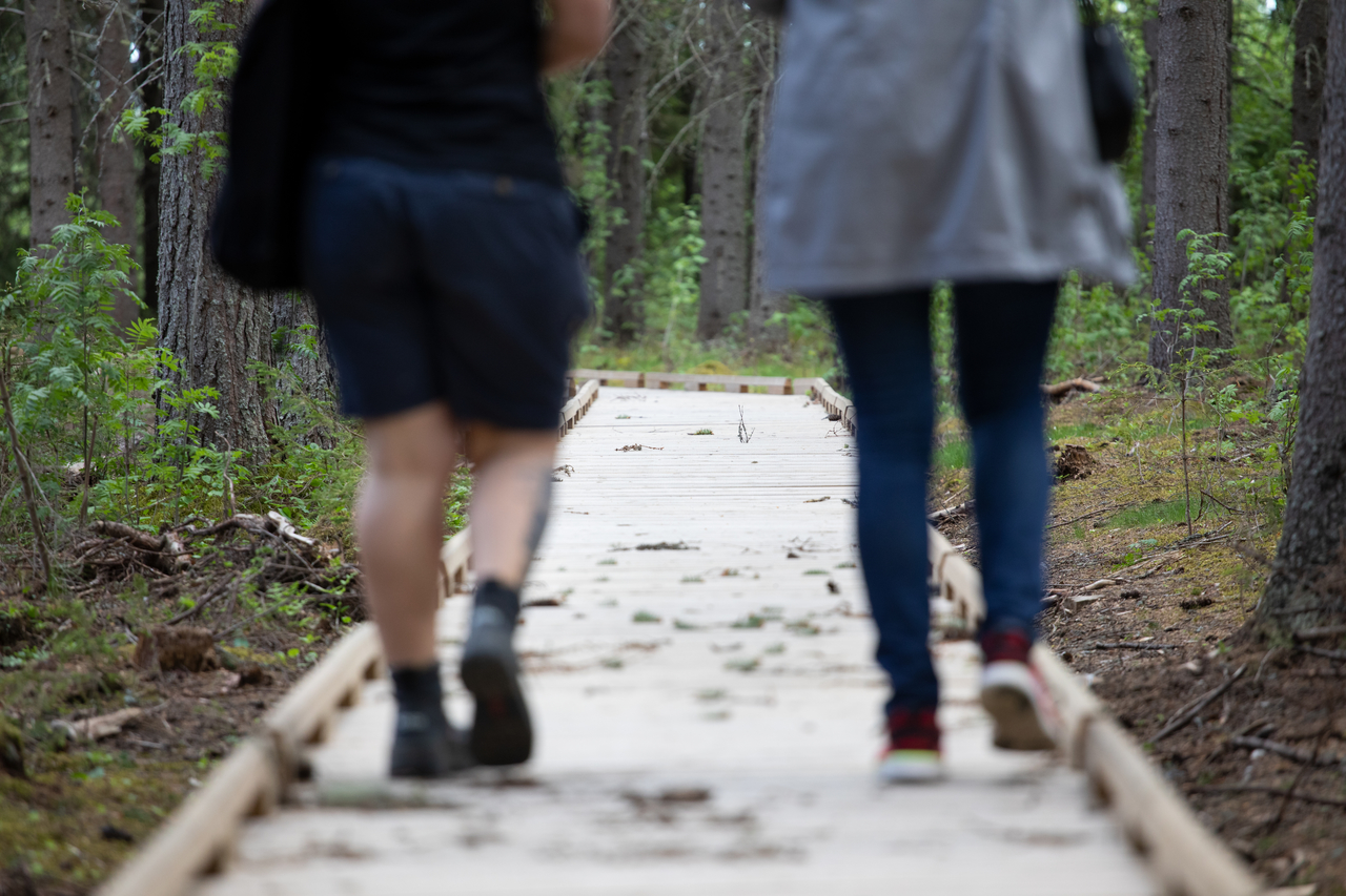 Kahden henkilöä kävelee metsäpolkua pitkin.